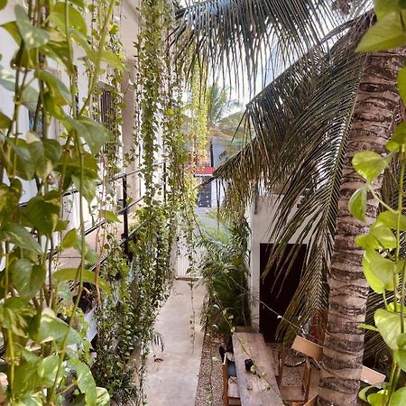 Anana Coliving Hotel Playa del Carmen Exterior photo