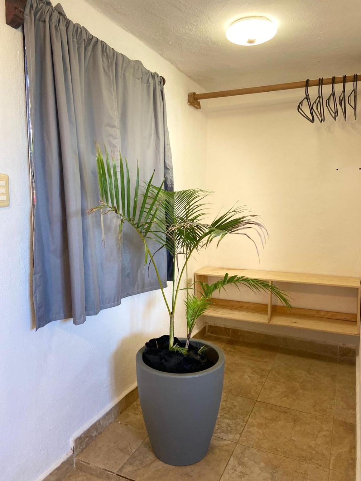 Anana Coliving Hotel Playa del Carmen Exterior photo