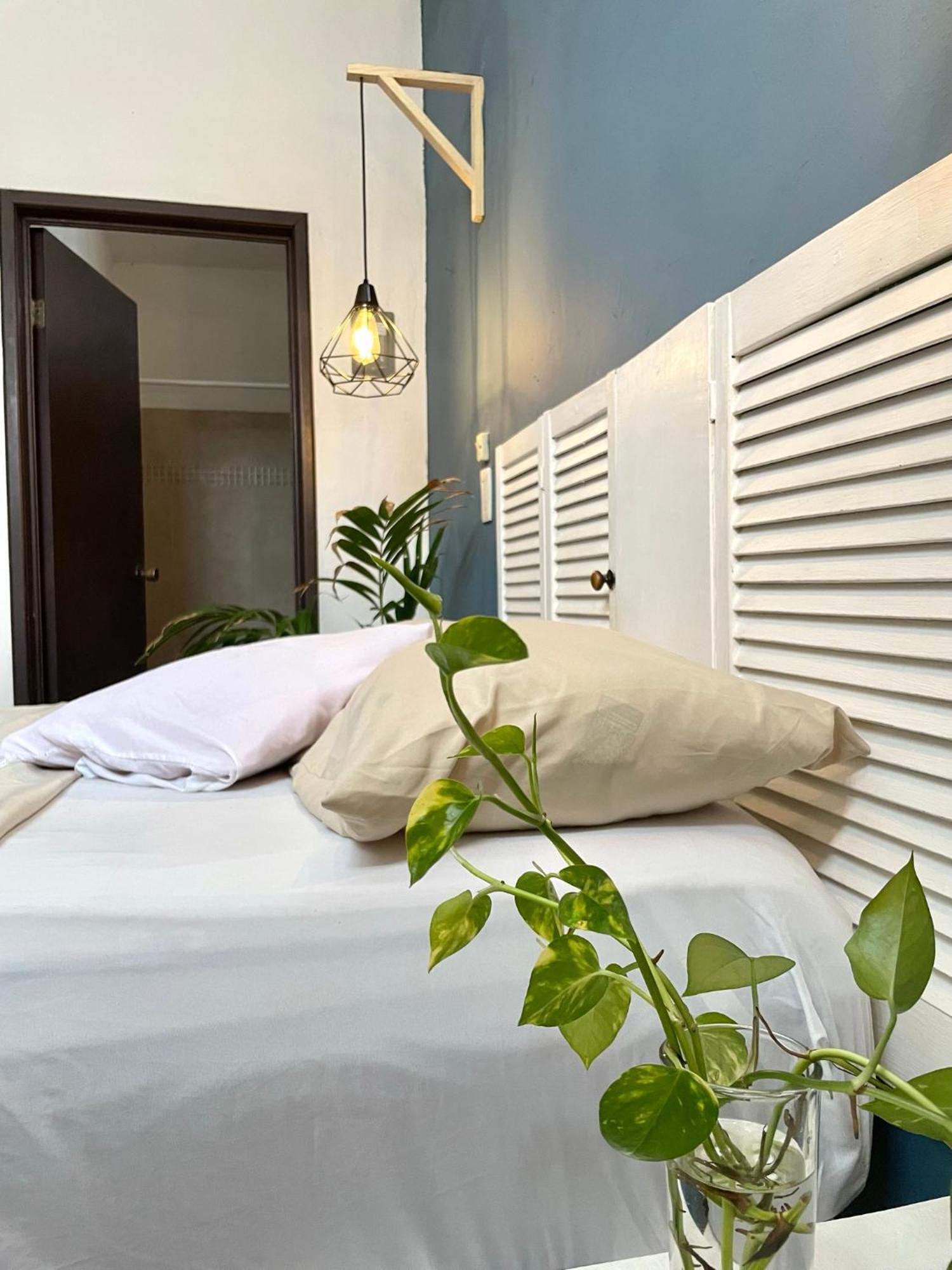 Anana Coliving Hotel Playa del Carmen Exterior photo